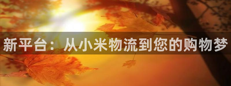 旺财28官网下载链接是什么网站：新平
