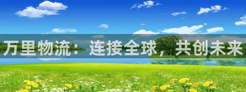 旺财28初始资金密码在哪里改：万里物