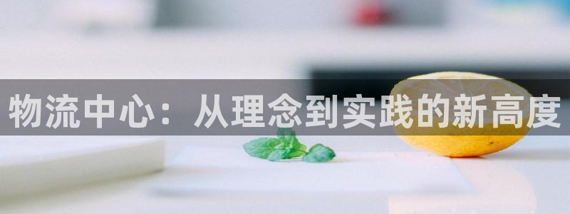 旺财28是正规平台吗：物流中心：从理
