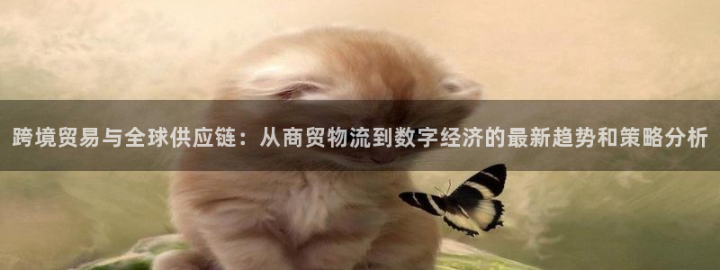 旺财28：跨境贸易与全球供应链：从商