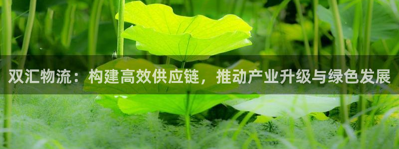 旺财28在线预测官网：双汇物流：构建