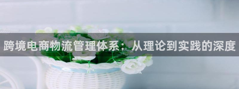 旺财28体育下载：跨境电商物流管理体