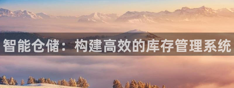 旺财28防失联网址：智能仓储：构建高