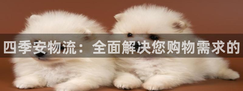 旺财28充值不处理：四季安物流：全面