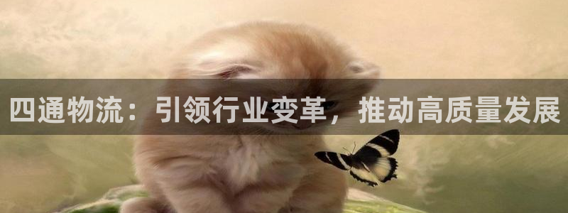 旺财28娱乐官网网页：四通物流：引领