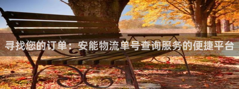 旺财28模拟器：寻找您的订单：安能物