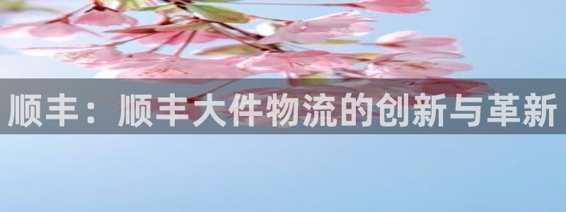 麻将1旺财28