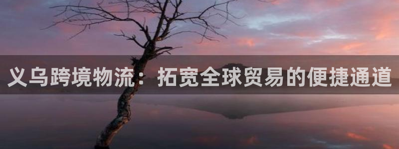 旺财28软件是什么：义乌跨境物流：拓