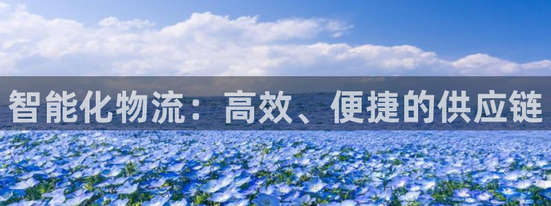 旺财28如何退款：智能化物流：高效、