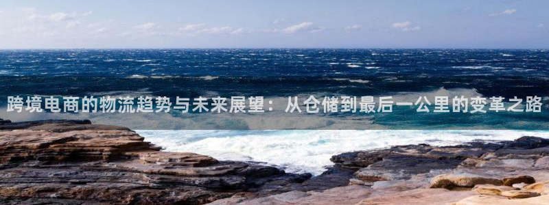 旺财28下载二维码：跨境电商的物流趋