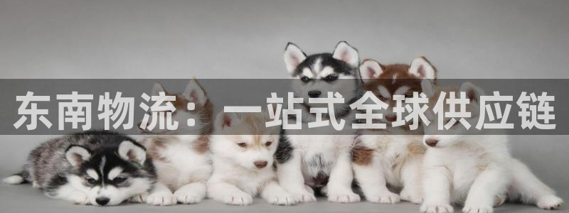 旺财28官网入口o：东南物流：一站式