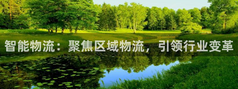 旺财28加拿大6.0：智能物流：聚焦
