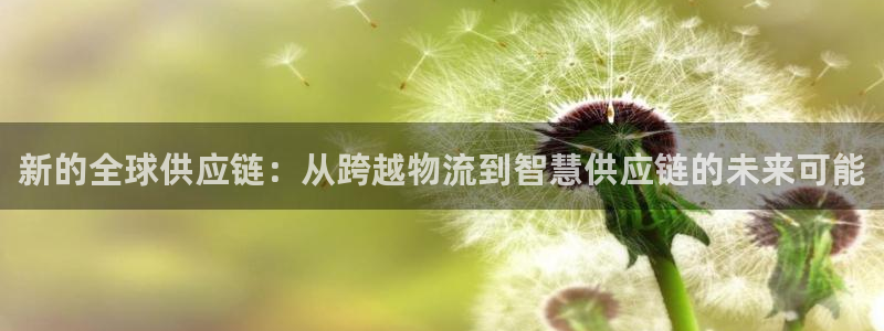 旺财28注册流程：新的全球供应链：从