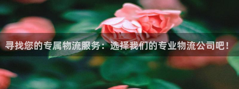 旺财28注册地址：寻找您的专属物流服