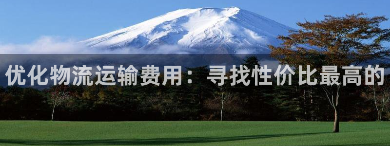 旺财28大神预测：优化物流运输费用：