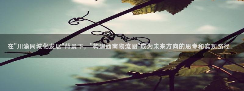 旺财28登录：在\