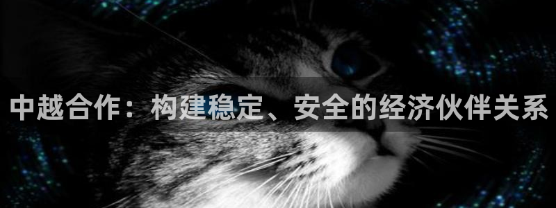 旺财28如何注销账号：中越合作：构建