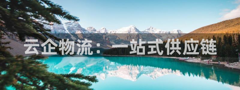 旺财28口戒指是多大：云企物流：一站