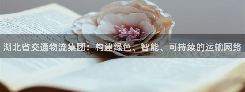 旺财28黑吗：湖北省交通物流集团：构