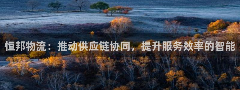 旺财28网站平台：恒邦物流：推动供应