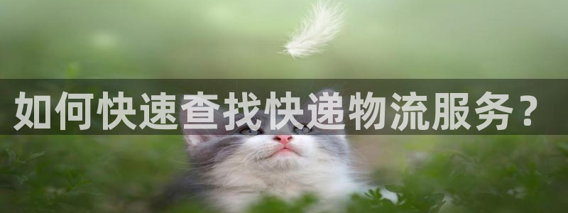 旺财28官网版所有版本：如何快速查找