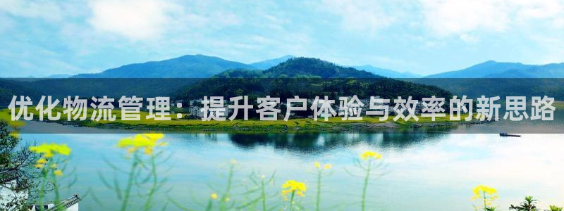 旺财28自行车图片：优化物流管理：提