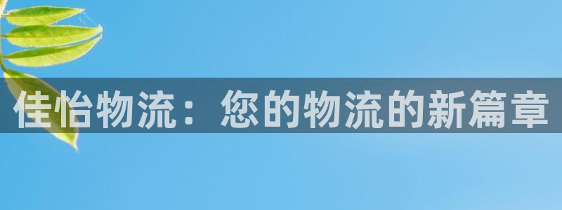 旺财28官网入口：佳怡物流：您的物流的新篇章