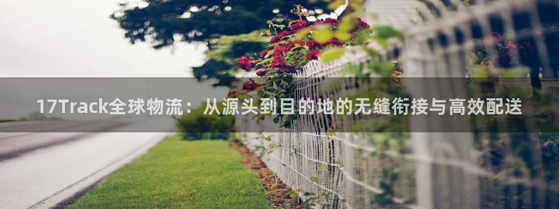 旺财28提现未达5期是什么意思：17