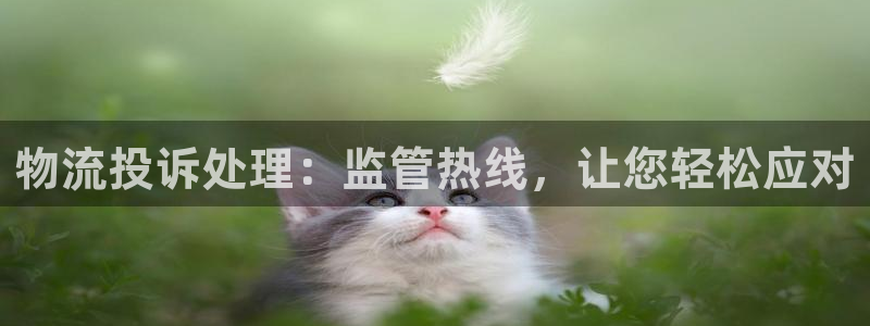 旺财28图片：物流投诉处理：监管热线，让您轻松应对