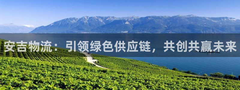 旺财28注册用户名是什么：安吉物流：