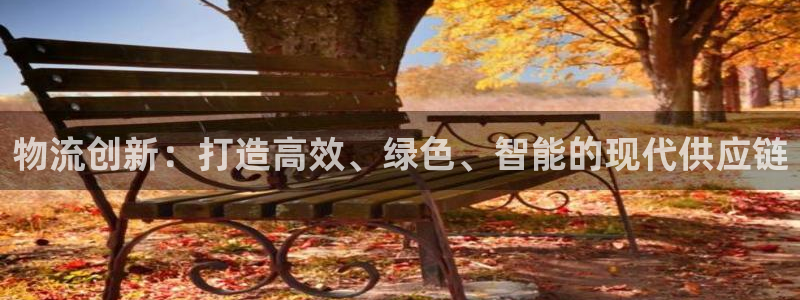 旺财28下载不了：物流创新：打造高效、绿色、智能的现代供应链