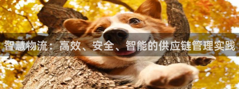 旺财28ip被限制怎么解决：智慧物流