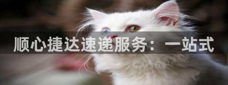 旺财28aPP退款：顺心捷达速递服务