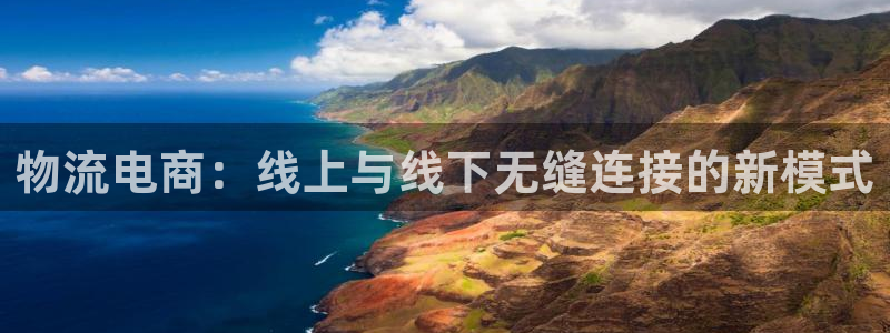 旺财28游戏最新版:物流电商:线上与