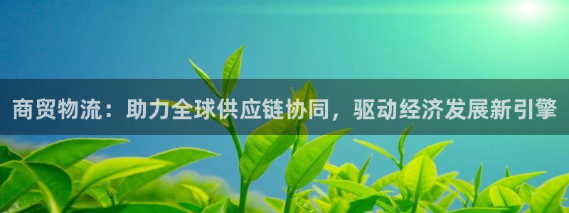 旺财28系统自动保护：商贸物流：助力