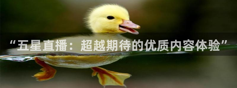 说球帝nba在线直播篮球