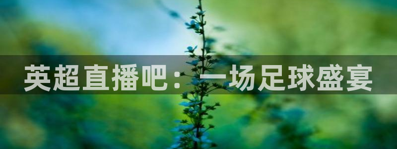 说球帝直播网：英超直播吧：一场足球盛宴